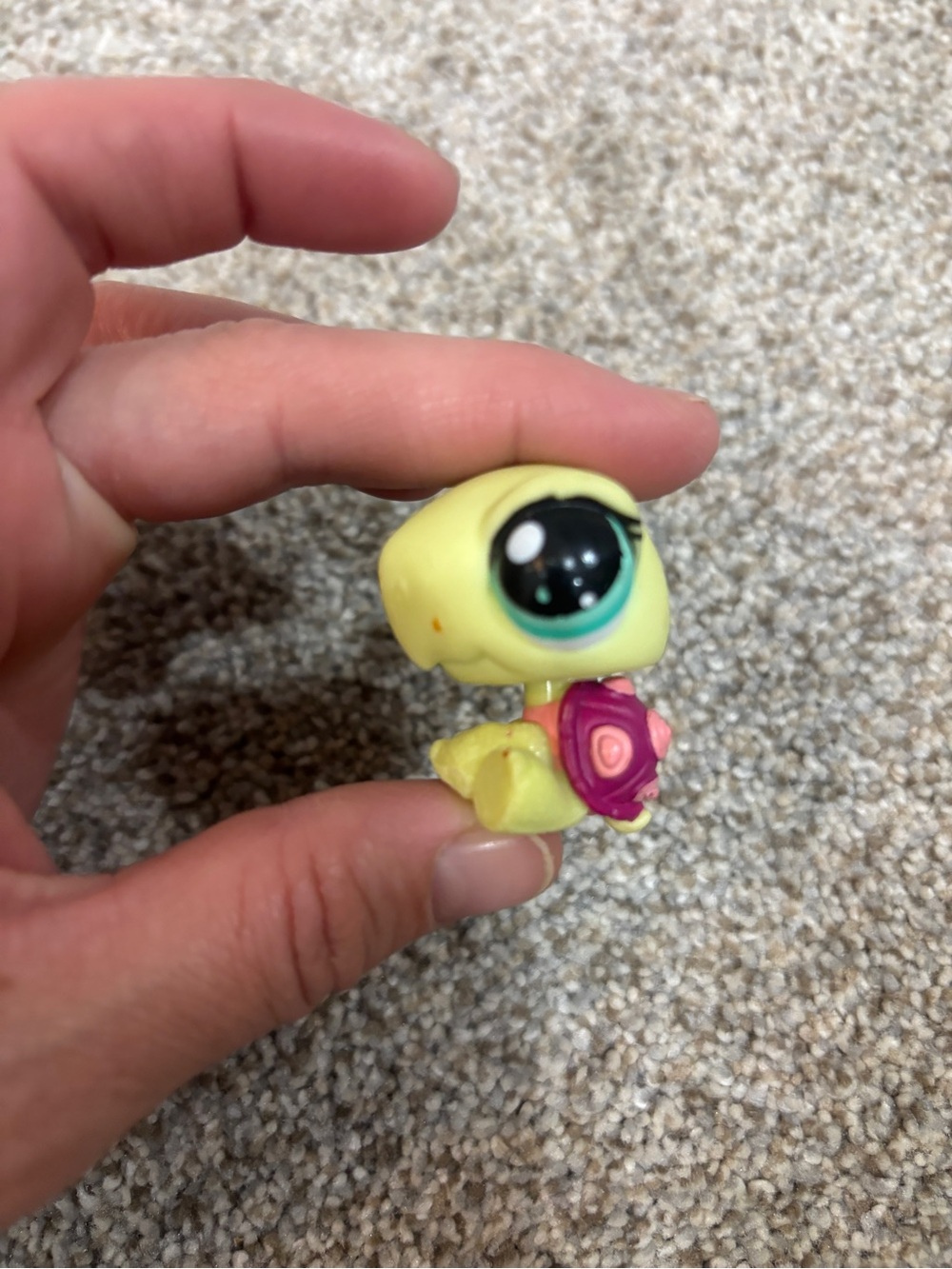 Hasbro Littlest Pet Shop Turtle #1597 figure, lime green body LPS collector